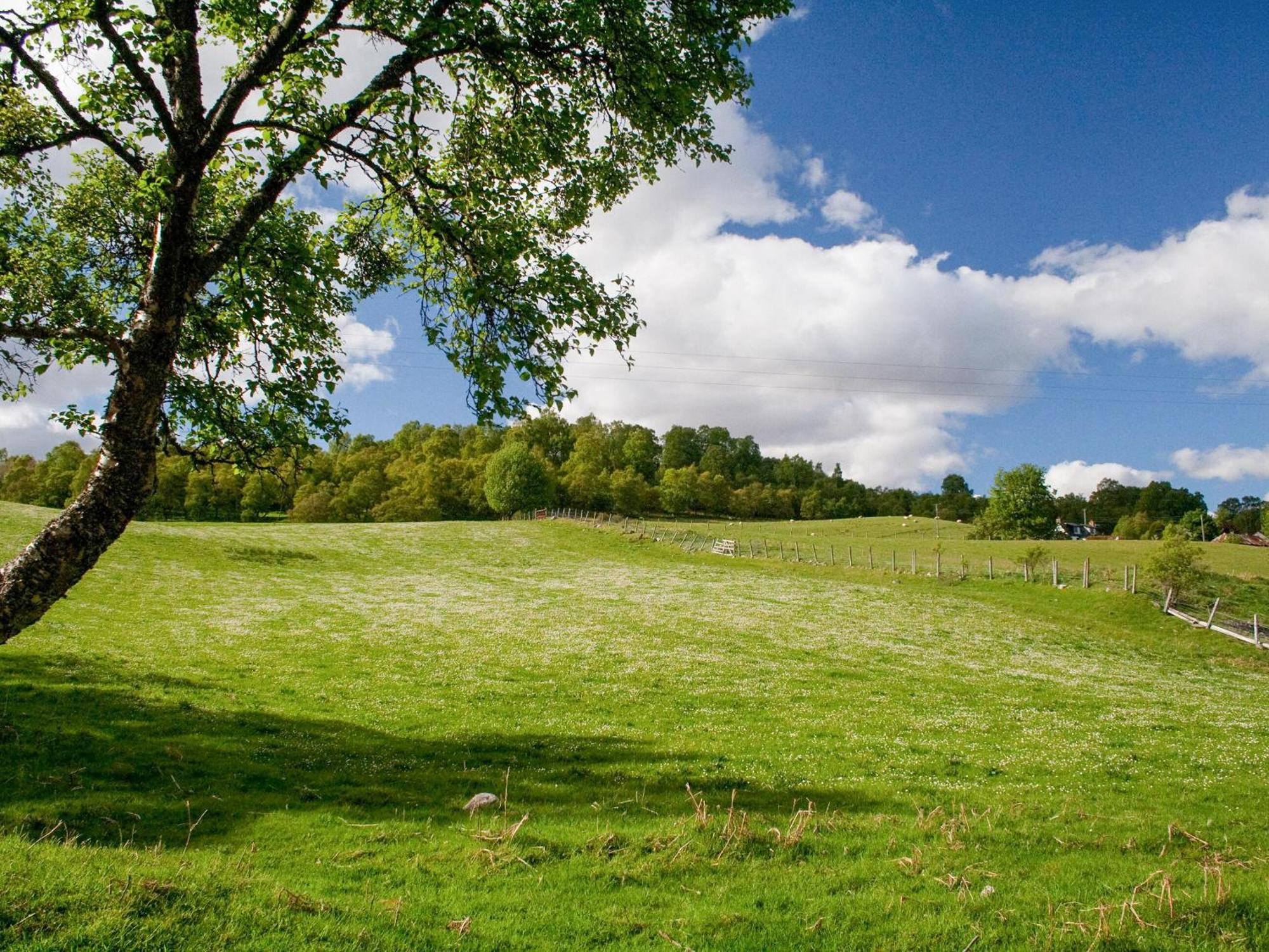 Treetops Newtonmore Exterior photo